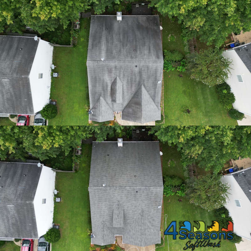 Roof Washing in Johns Creek, Georgia