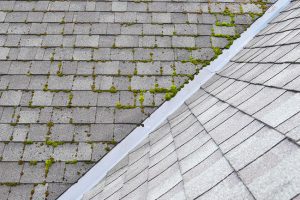 Why Choose Us for Your Roof Cleaning Needs