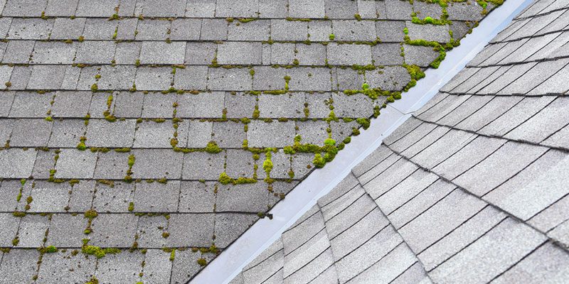 Why Choose Us for Your Roof Cleaning Needs